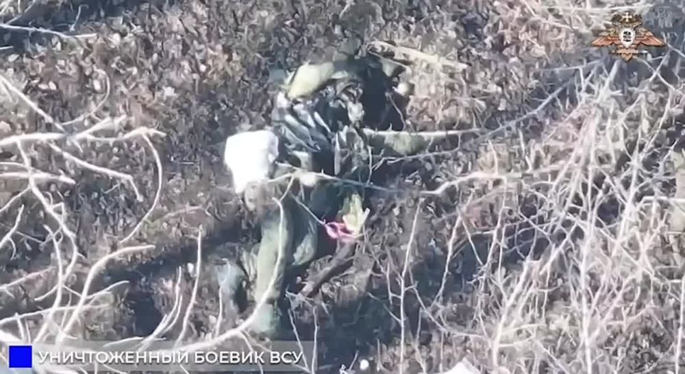 ������ ��������� - ������� ������� ����� ��������� ������ ������