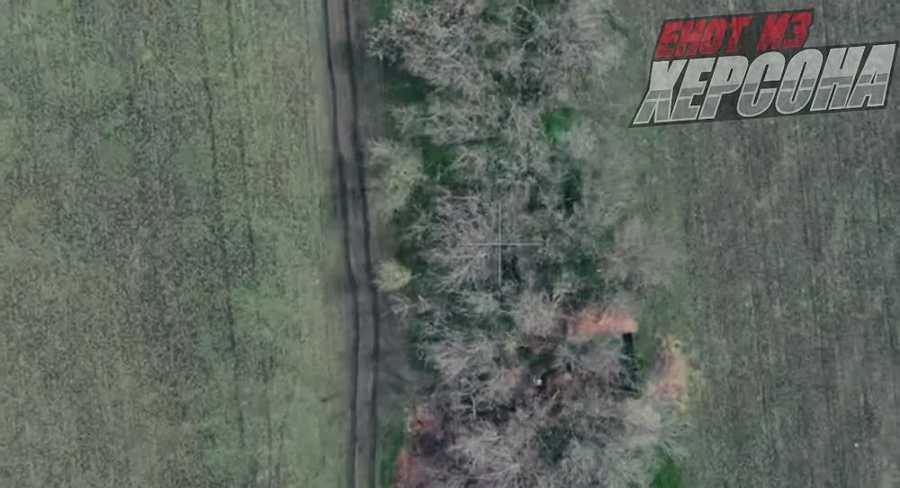 ���� �� �������: ���, ���, ���... ��������� ������� ����