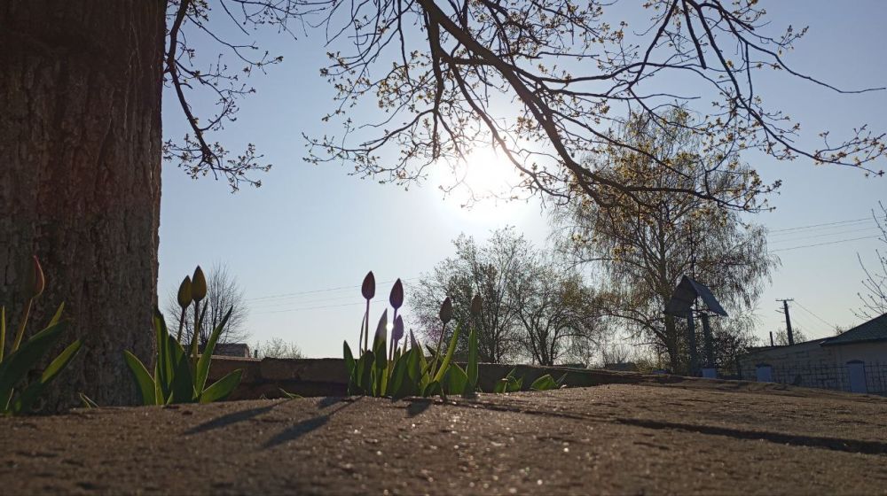 ������ ����, �����������!. ������ ��, ��� � ��� �����