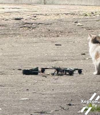 ������� ��������� ����. ����� ���������, ���� � �������� �� �����, �� ����� � �������, � ����� ��������� ��������� ���� �� �����������, �������, ���� �� �����, ������� ���������� � ����� �������������� ����� �� �����...