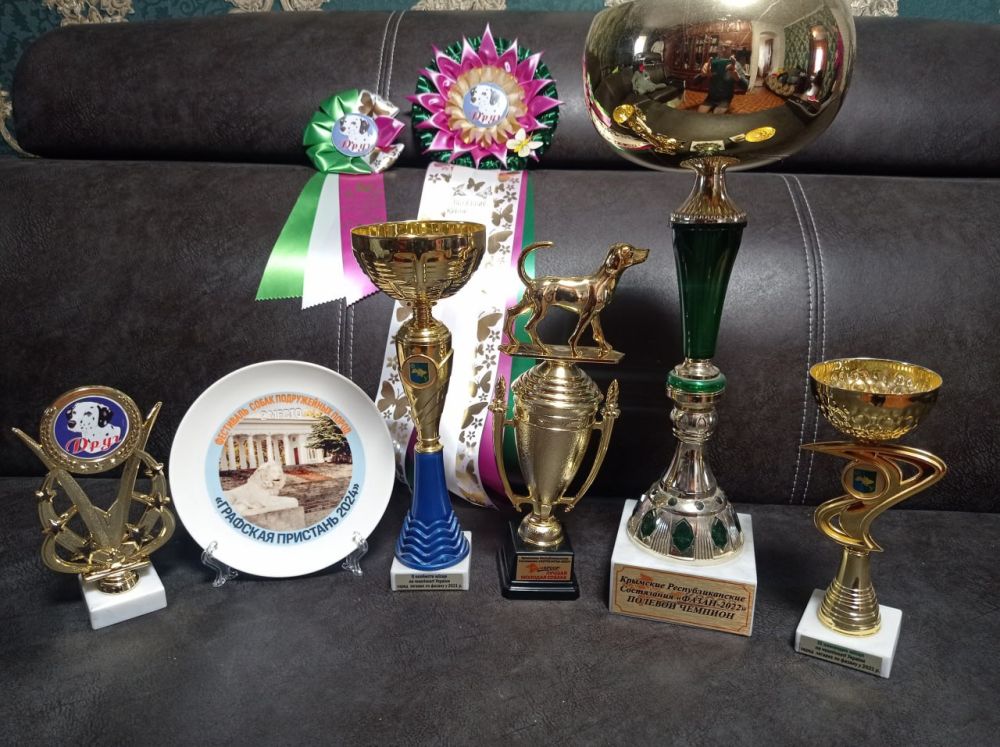 Собаковод из Петровки со своими питомцами Роном и Ронцарем занимают призовые места в Крымских республиканских состязаниях