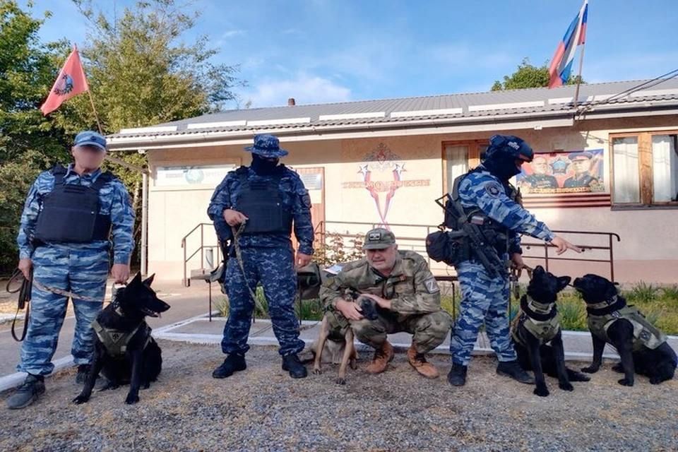 11 �����-��������� ����� � ���������� ������� �������� �����������