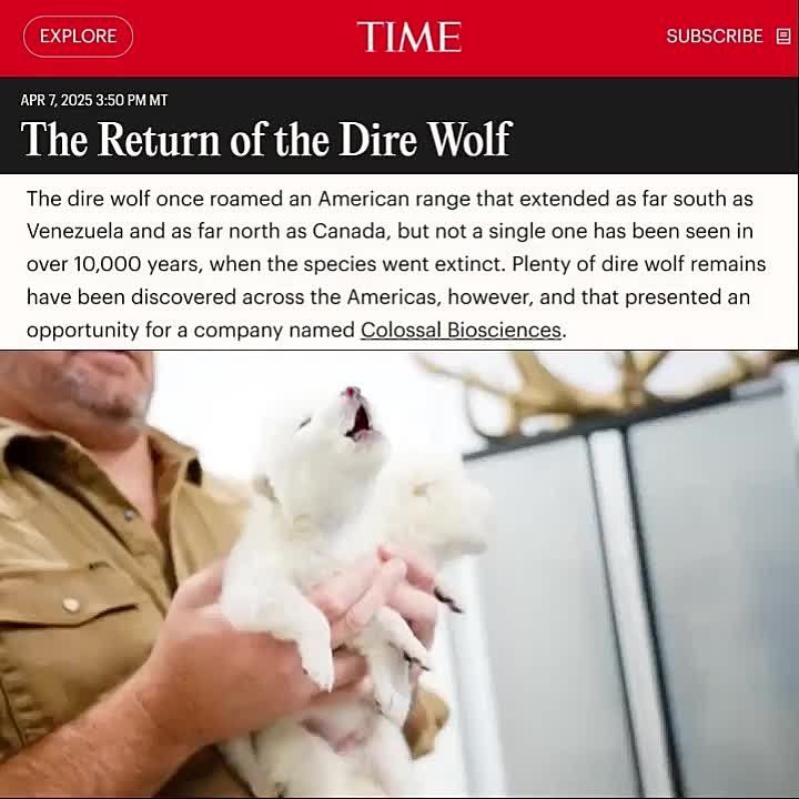 ����������� ���������. ������ �� Colossal Biosciences ������� � ����� ���������� ��� ������, ������� � ������������ ������� ������� �� �������� � ���������� ����� � �������� �������