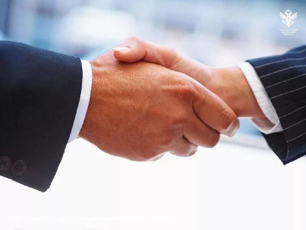 Количество субъектов МСП в Херсонской области увеличилось в 2025 году