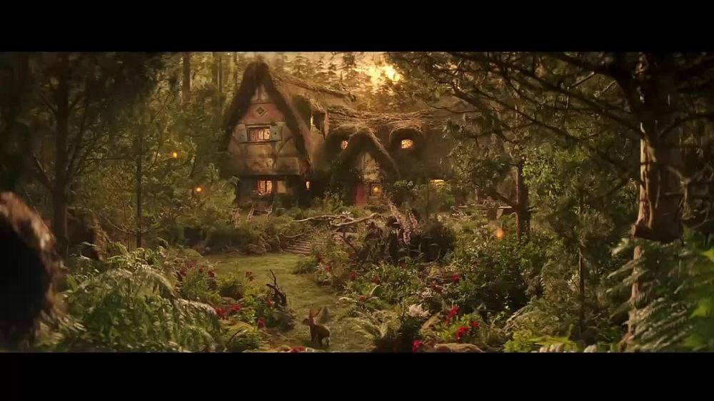 ���������� � ���� �������� � ����