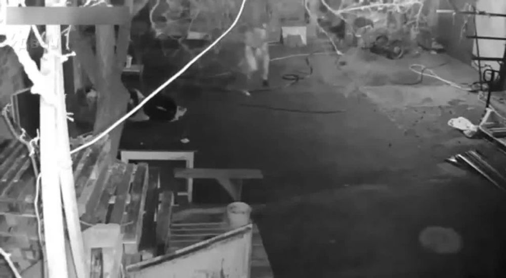 ���� � ������ ������ ���� � ���