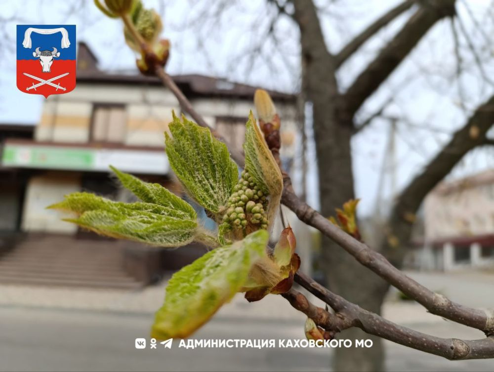 ������ ����, ������ ���������� �������������� ������!