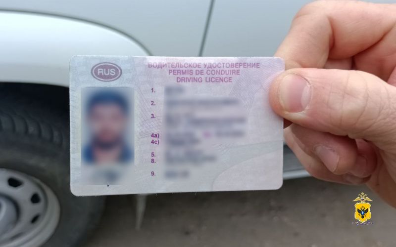 � ���������� ������� ����������� ������� ���� ������������� ����������� ������������� �������������