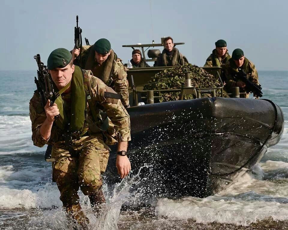 Сальдо: Франция и Британия хотят участвовать в разделе Причерноморья