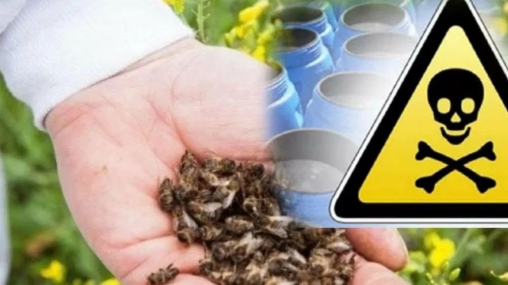 ��������� ������ ���������� ������!