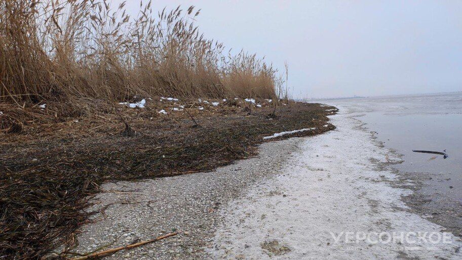 Над акваторией Азовского моря сбиты 7 БпЛА ВСУ