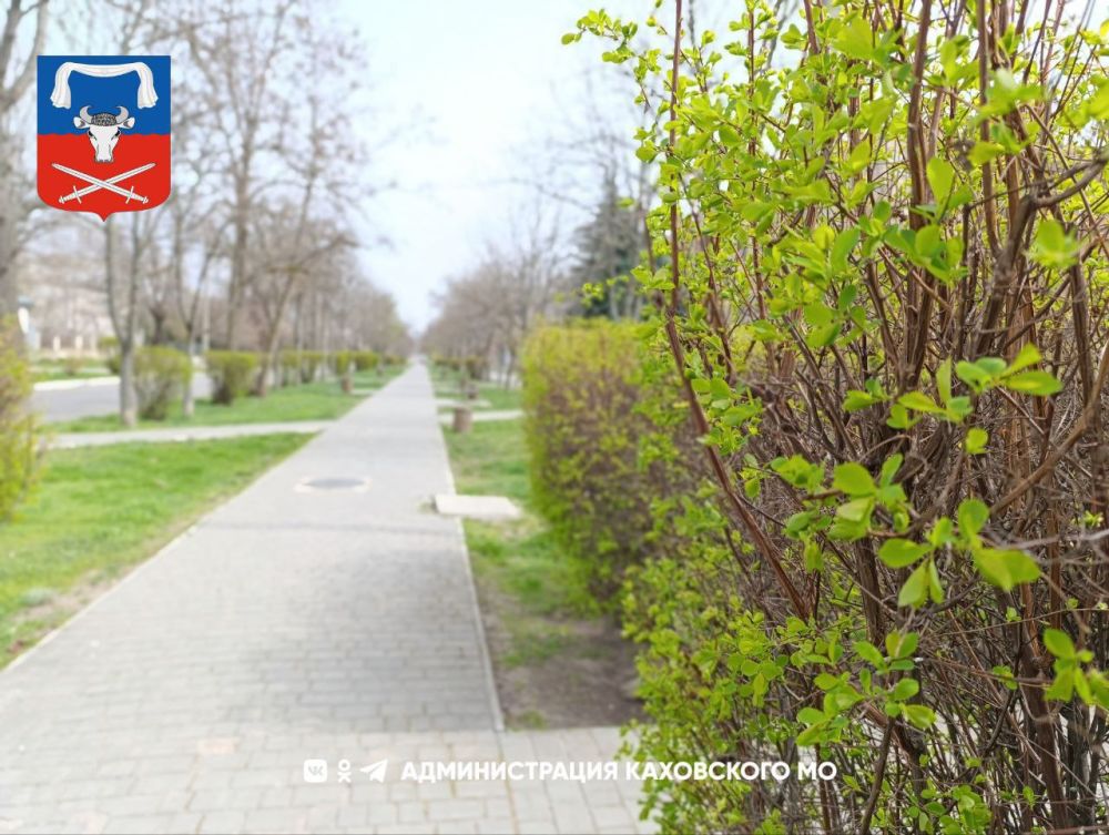 Доброе утро, жители Каховского муниципального округа!