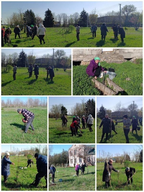 «Сад памяти»: в Новотроицком муниципальном округе посадили яблони в память о героях Великой Отечественной войны!