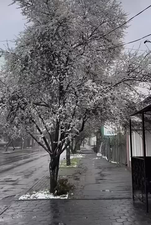 ������ - �������. ���-�� ����� ����� � ������ ��������� �� ������.��