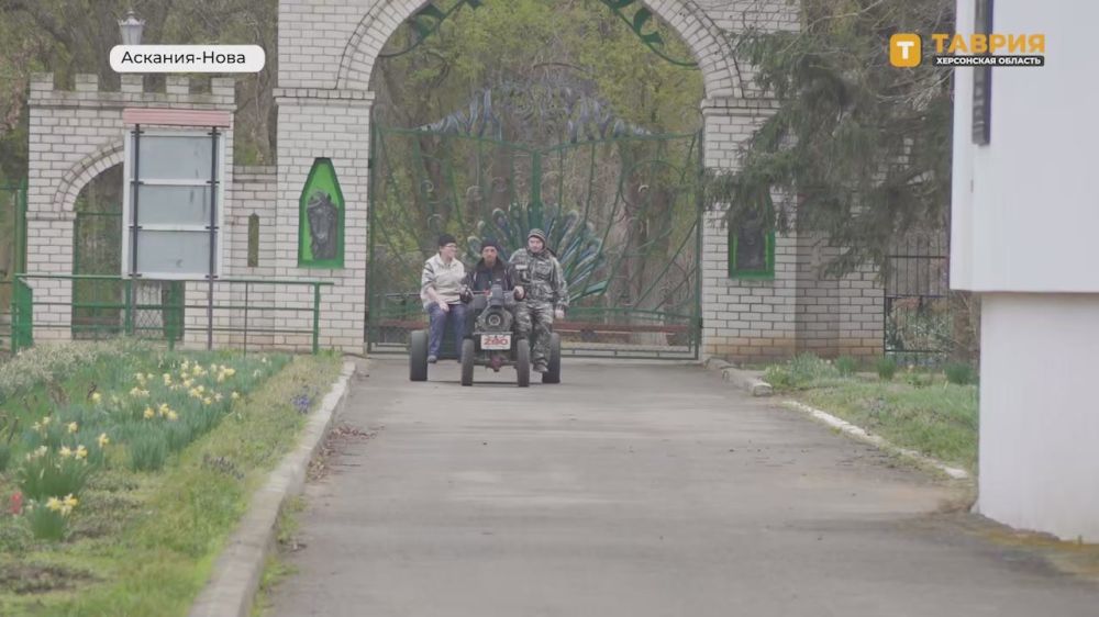 ���������� ���������� "�������-����" ��������� � �������� �������������� ������