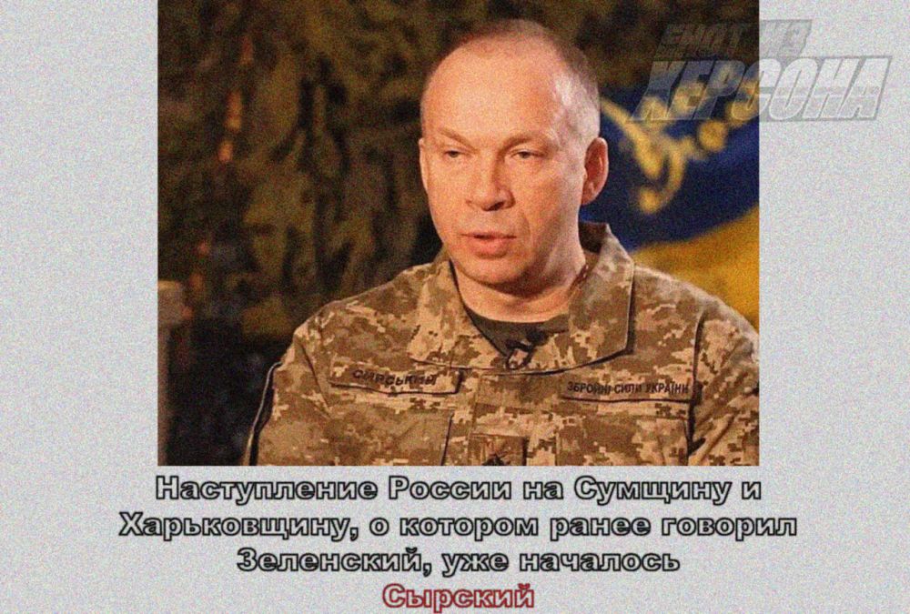 -заходим. Енот из Херсона