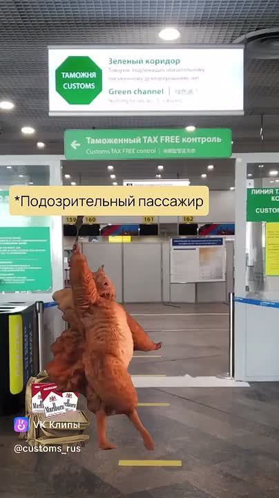 ФТС напоминает о нормах провоза сигарет