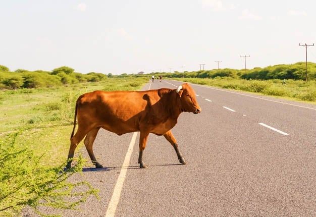 ��������� ����� ������� ������������ ���������� ������ �� ��������� � �������� �� ������ �� ���������