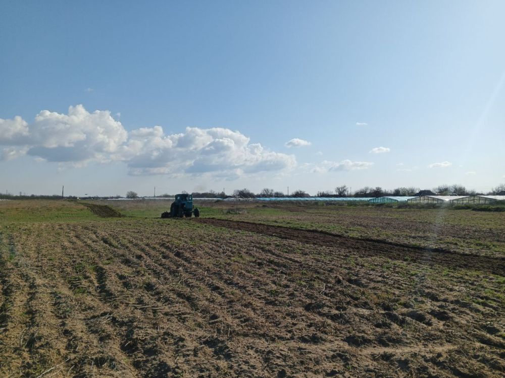 ����������� �������� ��������� �������� ������ ����������