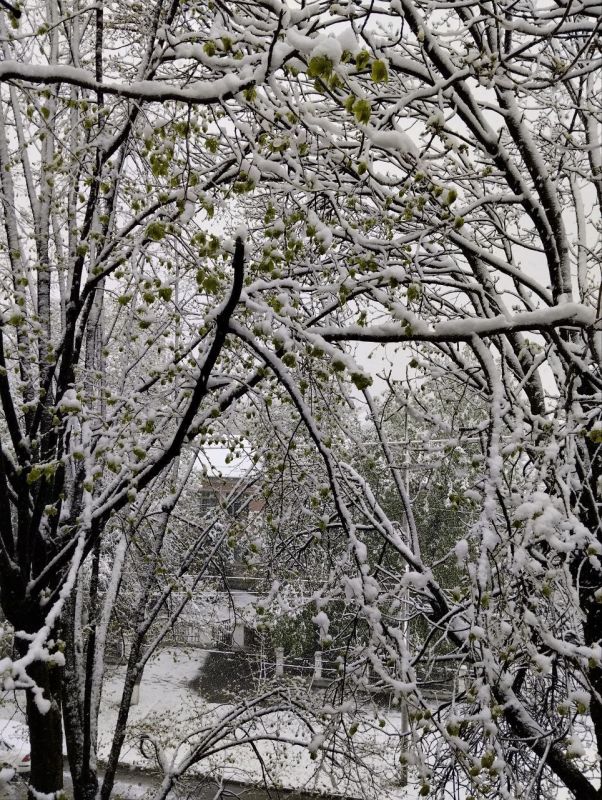 С добрым апрельским утром!