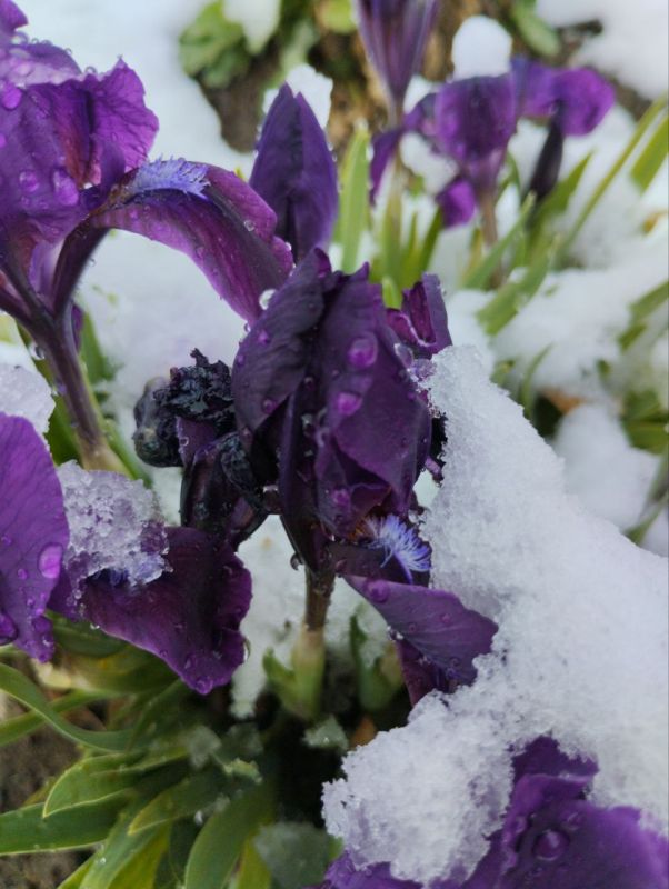 ���������� �������� � ��������� ������