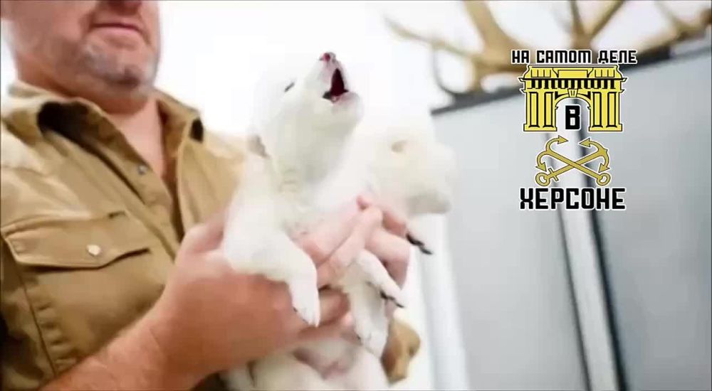 ����� �� ����� �� �����.. ������ ����������� �������� 12 ����� ��� ����� ���������� �� ����� ��������� ������ ��������� �� ���� 1 ������� 2024 ����, �� ������� ���, ����� � �������. �� ������ ������, ��� �� 20�25% �������...