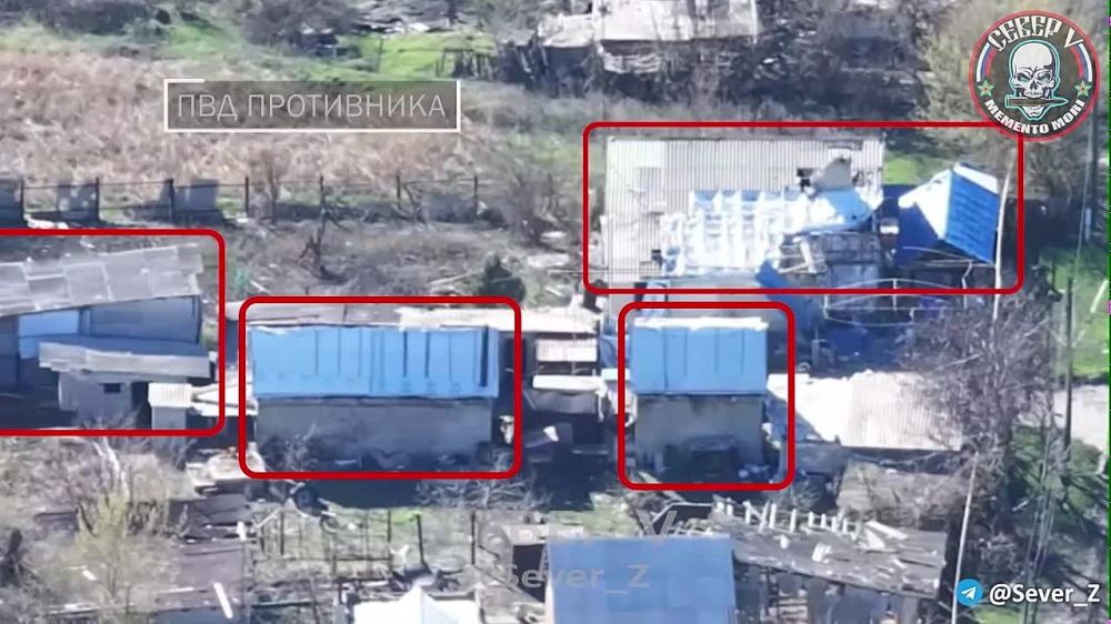 Енот из Херсона: ВСУ разместились среди гражданских