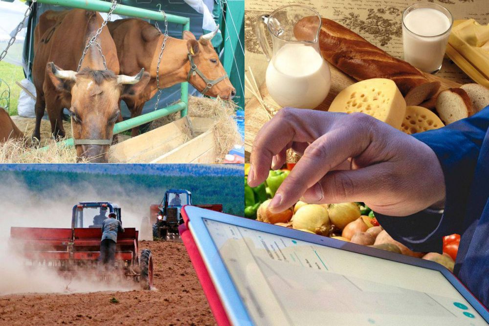         17  2024   60-             ...