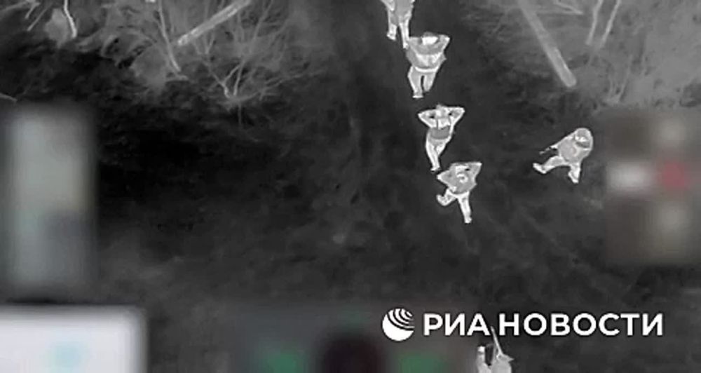 Разведгруппа ВСУ из 4 человек сдалась в плен бойцам группировки войск "Запад" в районе населенного пункта Новое в ДНР, сообщили в российских силовых структурах