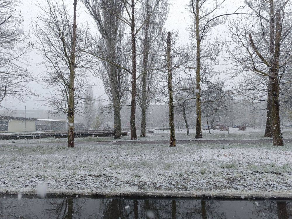 Виталий Гура: Сегодня 9 апреля, и, казалось бы, весна должна радовать нас теплом и солнечными днями