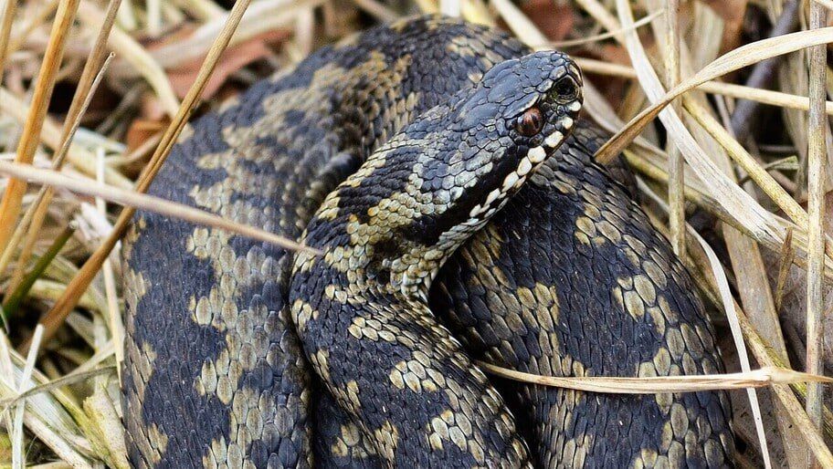 ������ ���� � ���� �� ������� ������������ �����