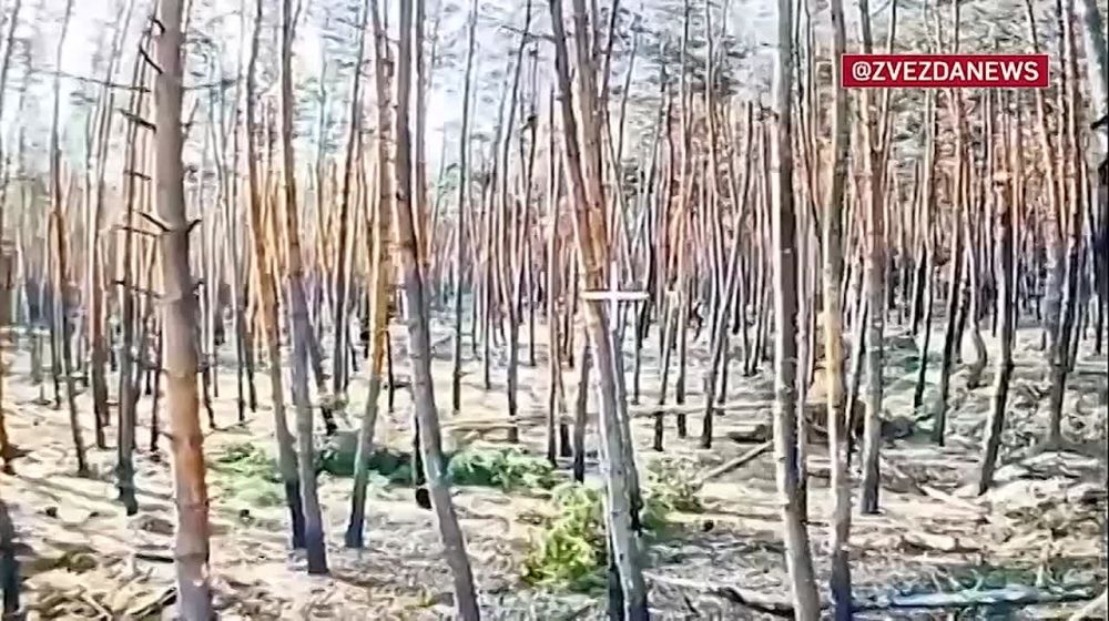 ���� �� �������: ������� � ����� �� ����������: ���� ��������� ��������� �� ����� "������" � ������� �������