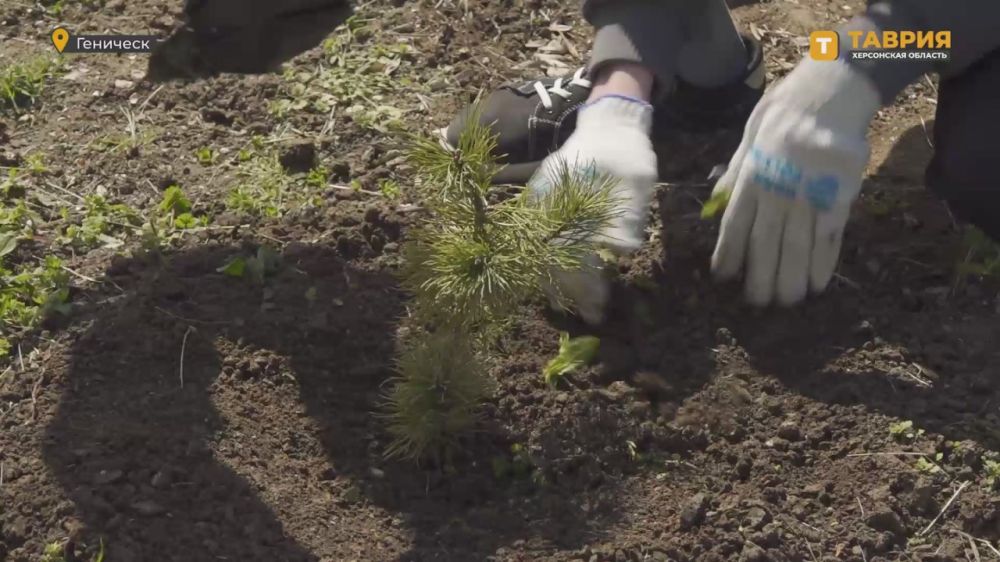 � ��������� ���������� ������������� ����� "�������� ���"