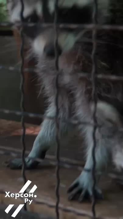 ���������� �����-����������, �������-����������, ������-�������������� � ��� �� ������ ������!