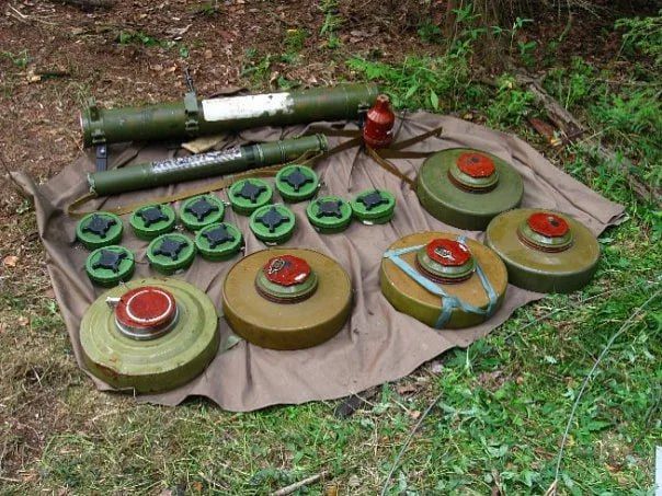 �� ���������� � ���������� ����������� ������������� 49-� ����� � �������� �������