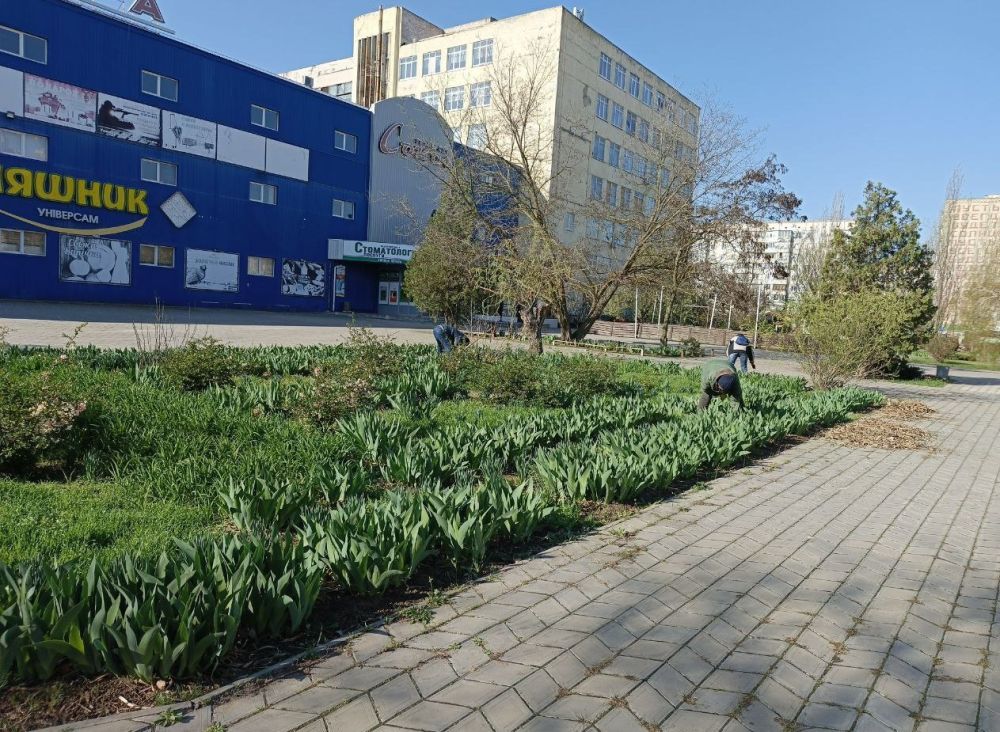 � ��������� ������ ����� ������� �������� �������� ������ �� ���������������