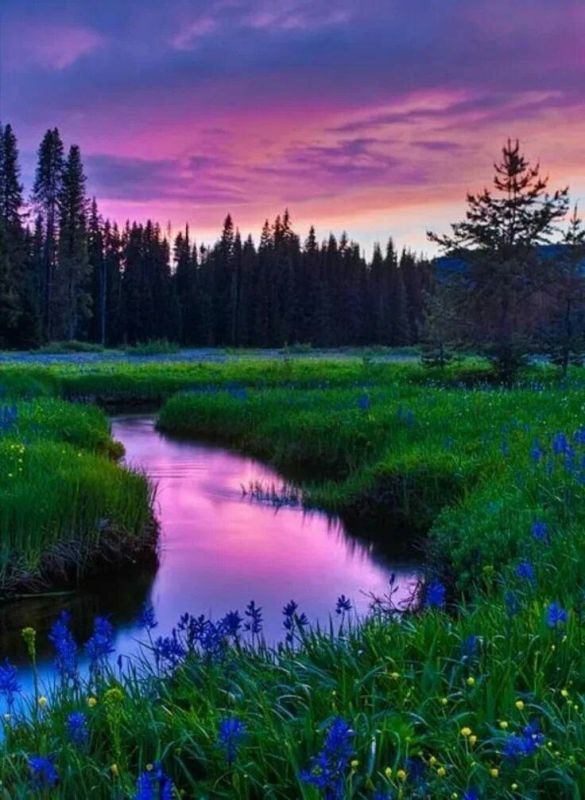 . Речка крошка заблудилась , В лес дремучий забрела