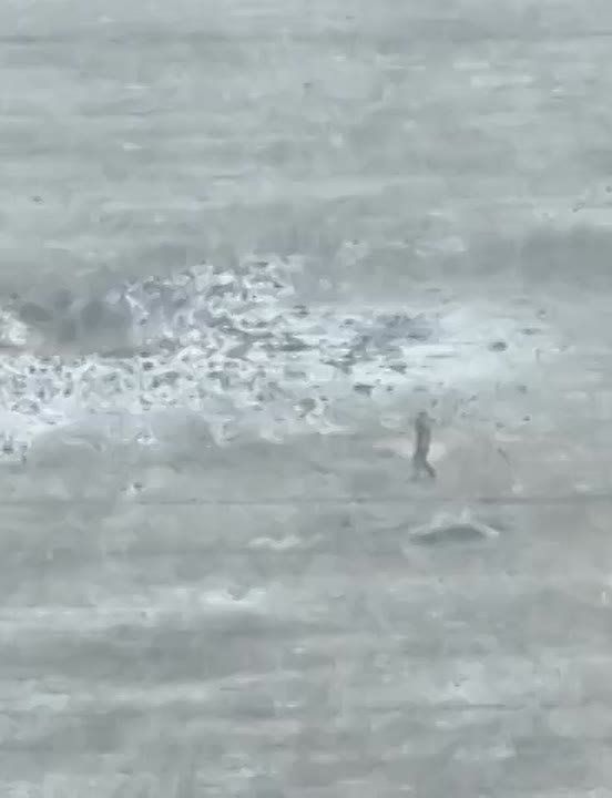 ����� ����, ��� �������� ��������� ����! ������-����� ���������� ��������� 76 ���