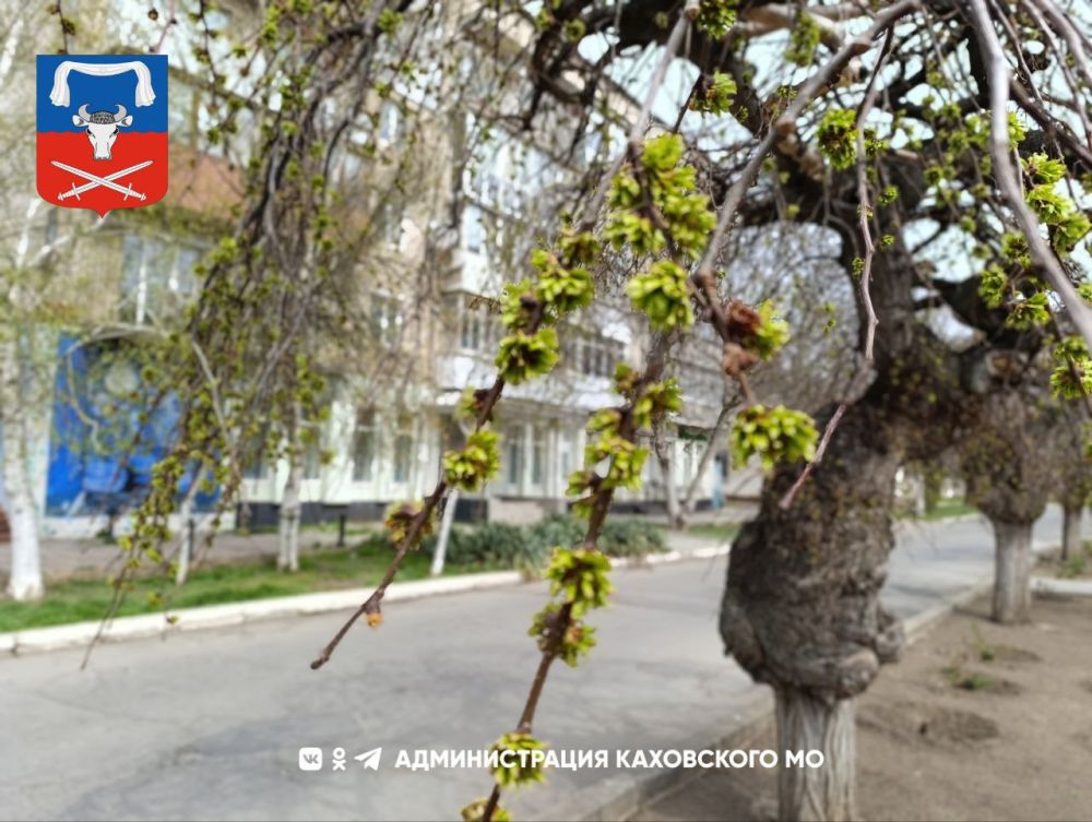 ������ ����, ������ ���������� �������������� ������!