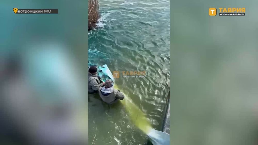 Министерство АПК Херсонской области поделилось с "Таврией" кадрами зарыбления рыбоводных хозяйств