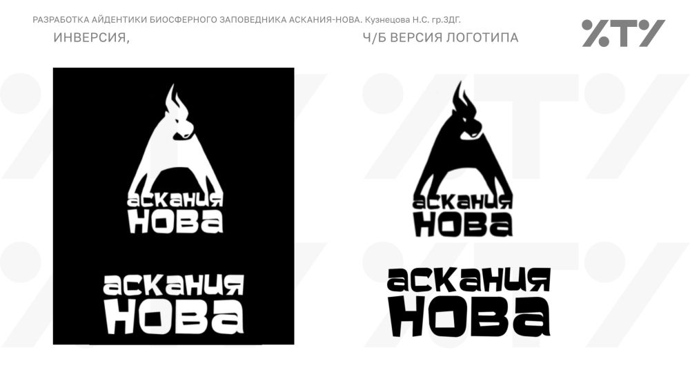 Новый взгляд на Асканию-Нова: студенты ХТУ разрабатывают айдентику заповедника