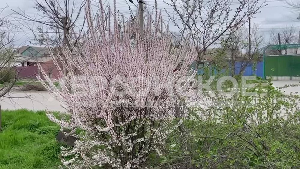 Весна уверенно вступает в свои права в Геническе