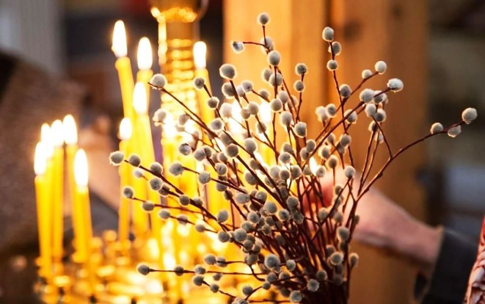 Впереди Вербное воскресенье: этот праздник приближает верующих к завершению поста и самой Пасхе