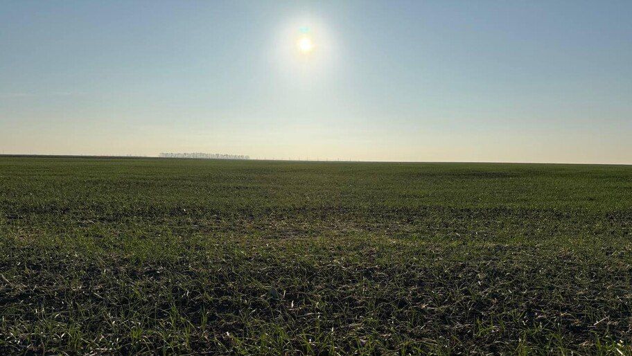 Около 5 млрд руб. предусмотрено для поддержки аграриев в исторических регионах