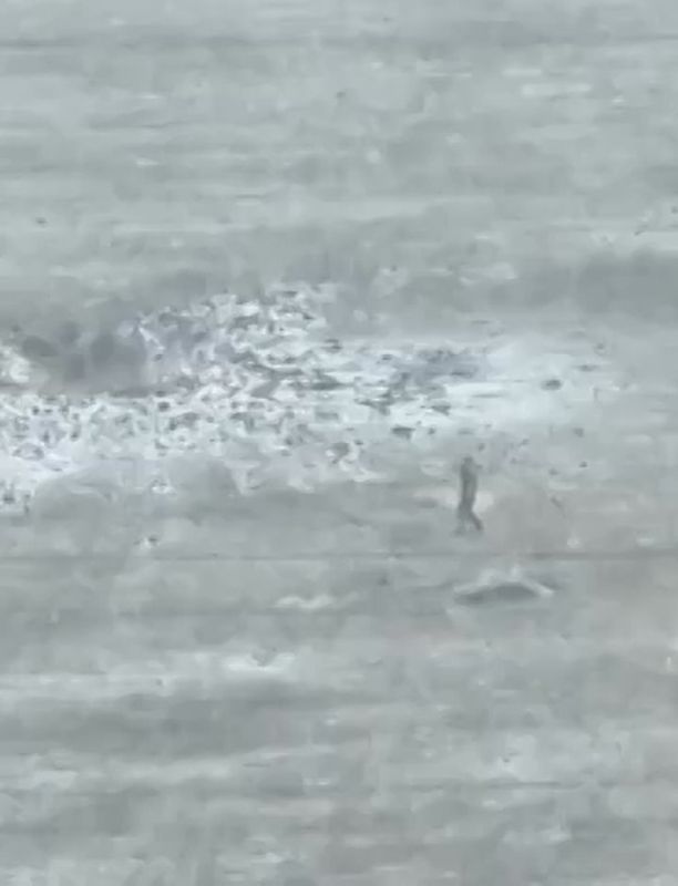 Владислав Шурыгин: Видео урок, как обмануть хохляцкий дрон! Мастер-класс показывает десантник 76 ДШД