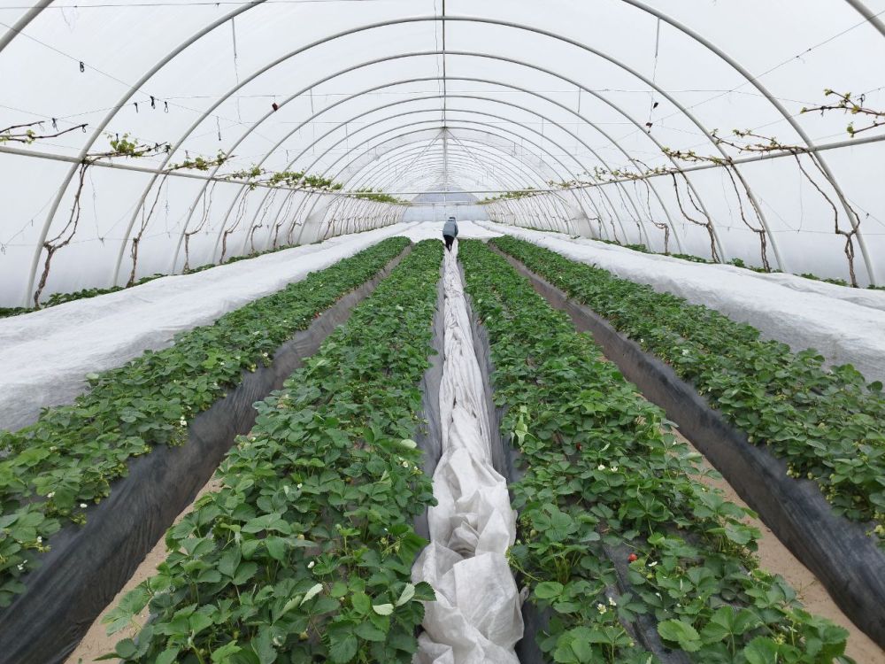 � ��������� ������ ����� ������� ���������� ����� ����� ��������