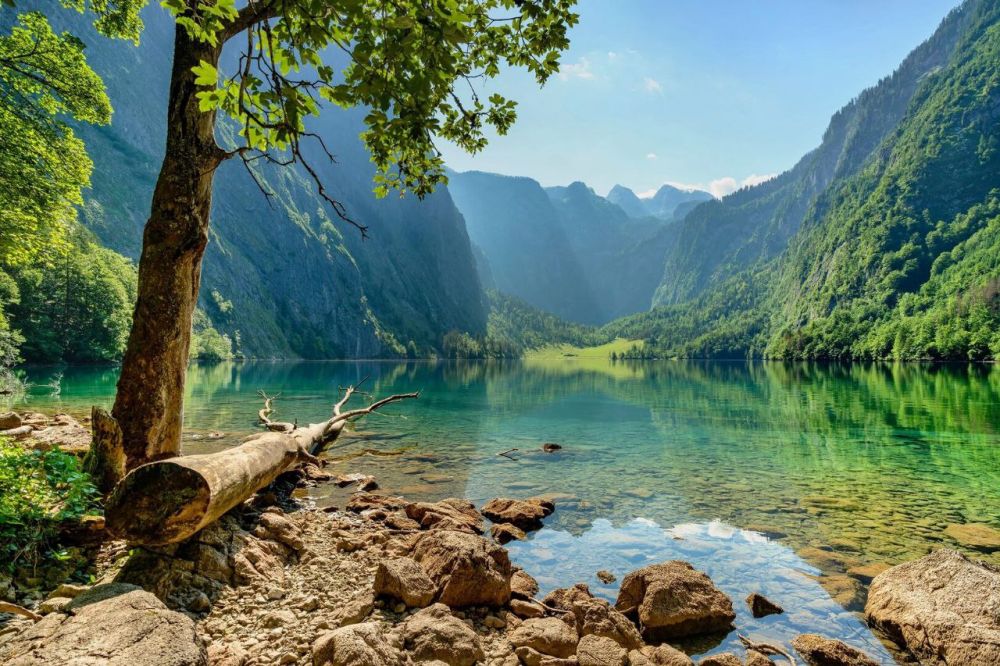 . Любви все возрасты покорны , Господь Любовь нам подарил