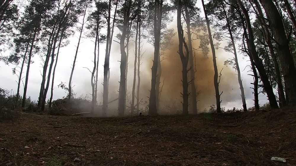 �������� ������: ����� � ����. ������� �������� ���������� ����� ��������� ���������� ����� �� ������ ������ ������