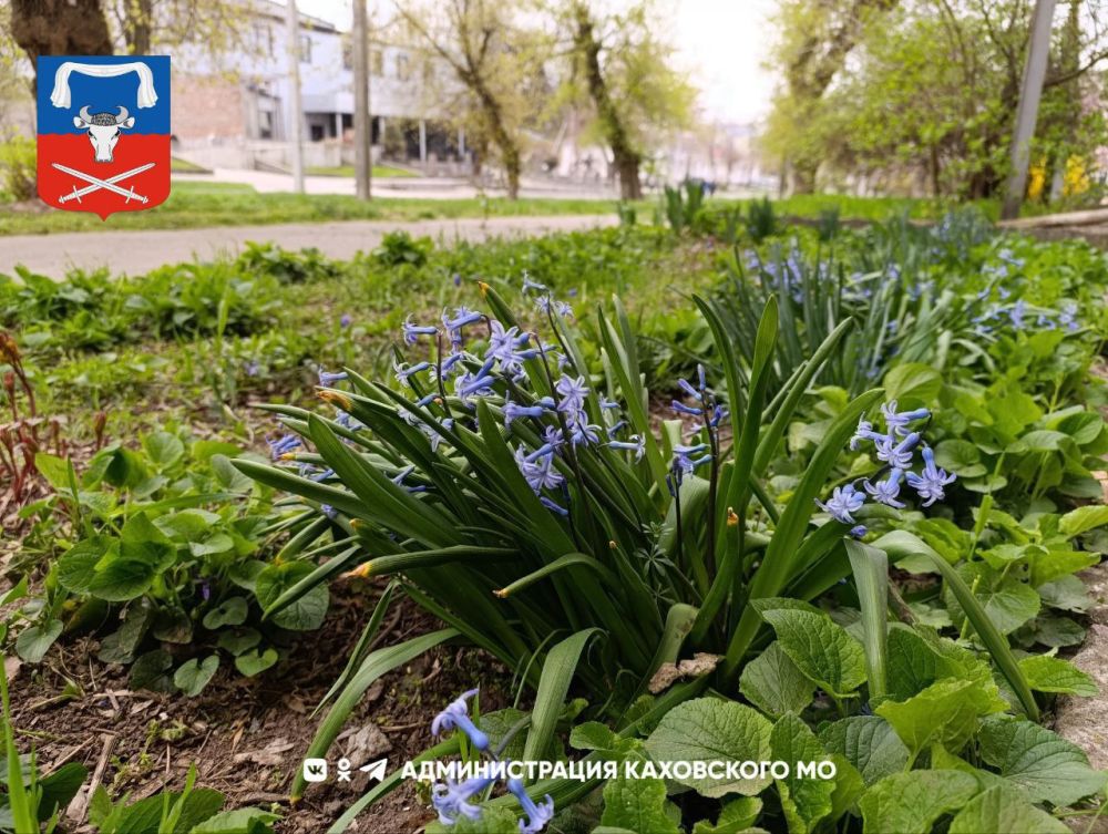 Доброе утро, жители Каховского муниципального округа!