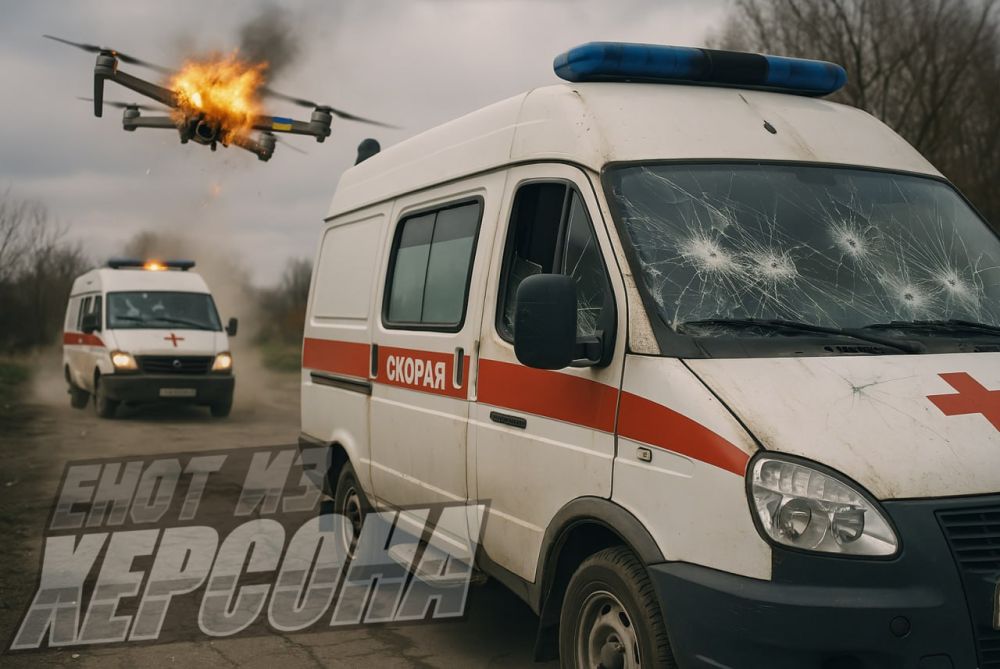 Енот из Херсона: Херсонская и Запорожская области